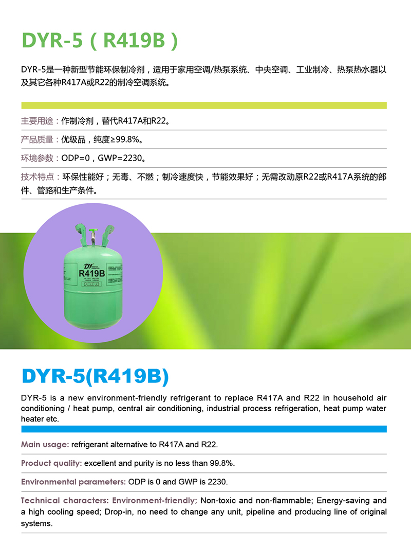 13-DYR-5.jpg 13-DYR-5.jpg